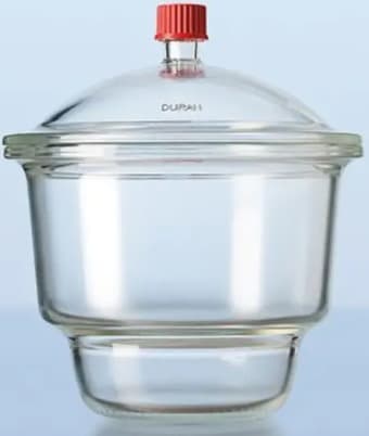 Dessiccateur de Laboratoire en Verre (Robinet Standard)